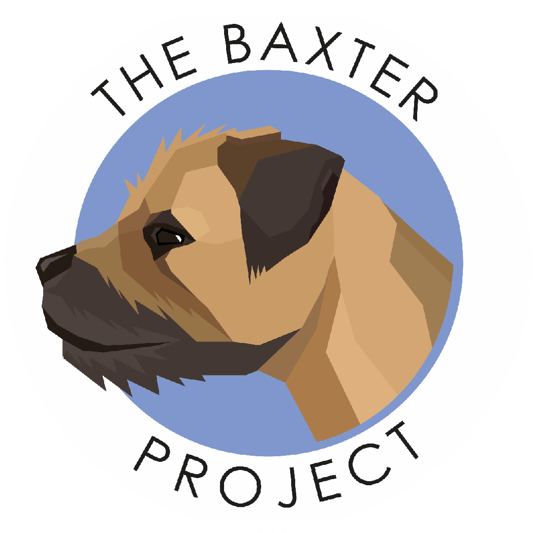The Baxter Project