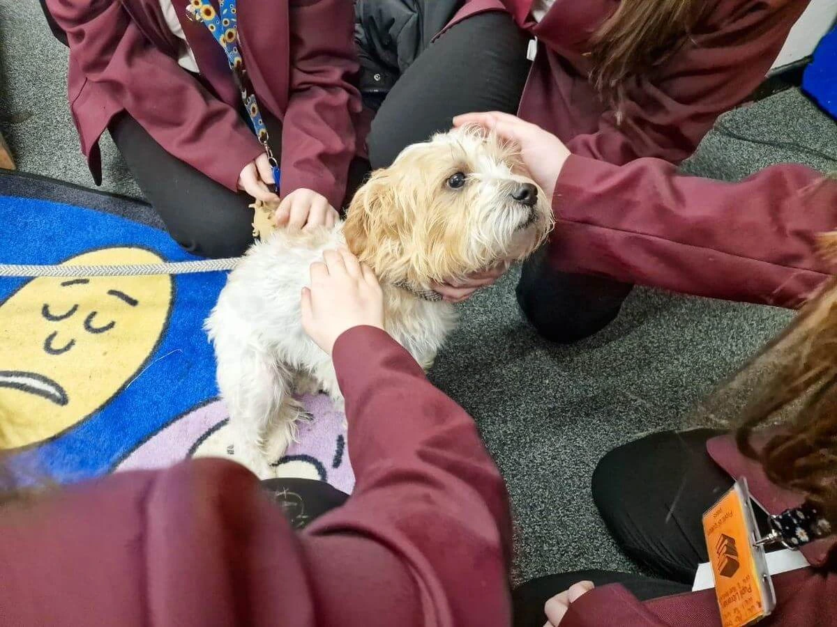 Students gathered with dog